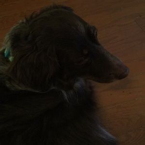 Meet your Posher, Gina